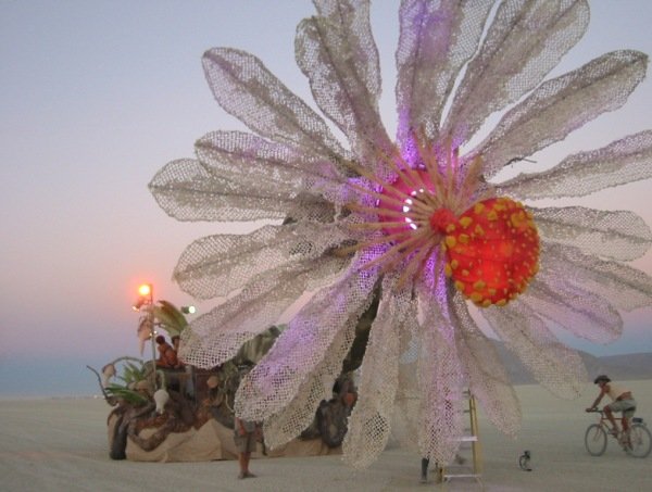 Festival Burning Man pictures 1